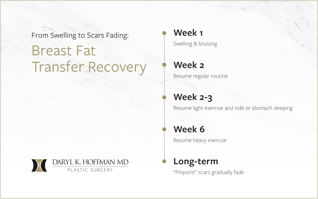 Infographic titled “Breast Fat Transfer Recovery” showing a timeline from week 1 to long-term with Daryl K. Hoffman MD logo.